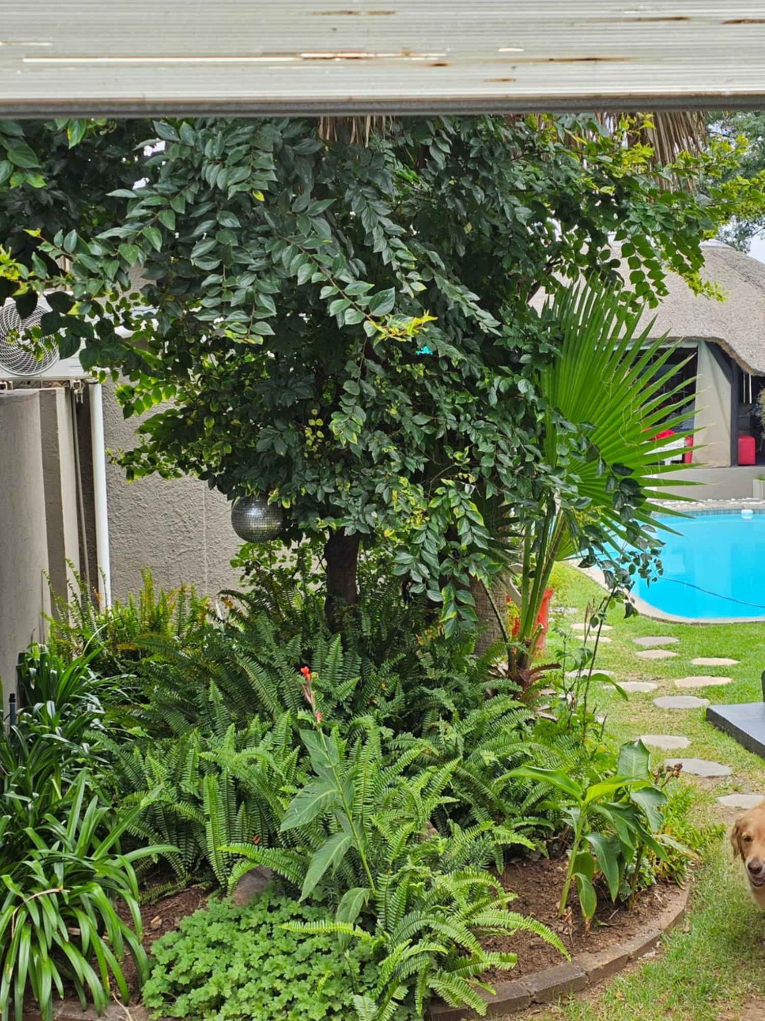The Armagh Guesthouse Boksburg Luaran gambar